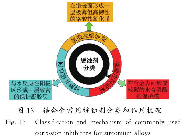 1729065321789342.jpg t13.jpg