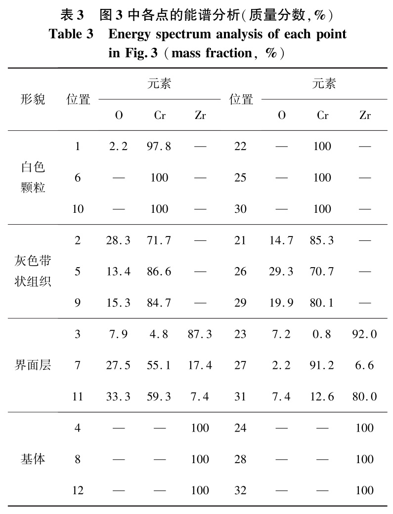 1729500896608941.jpg b3.jpg