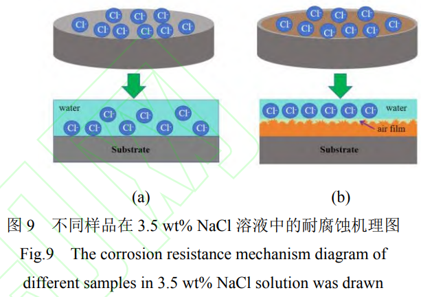 1738590284130270.png 截圖20250203213938.png