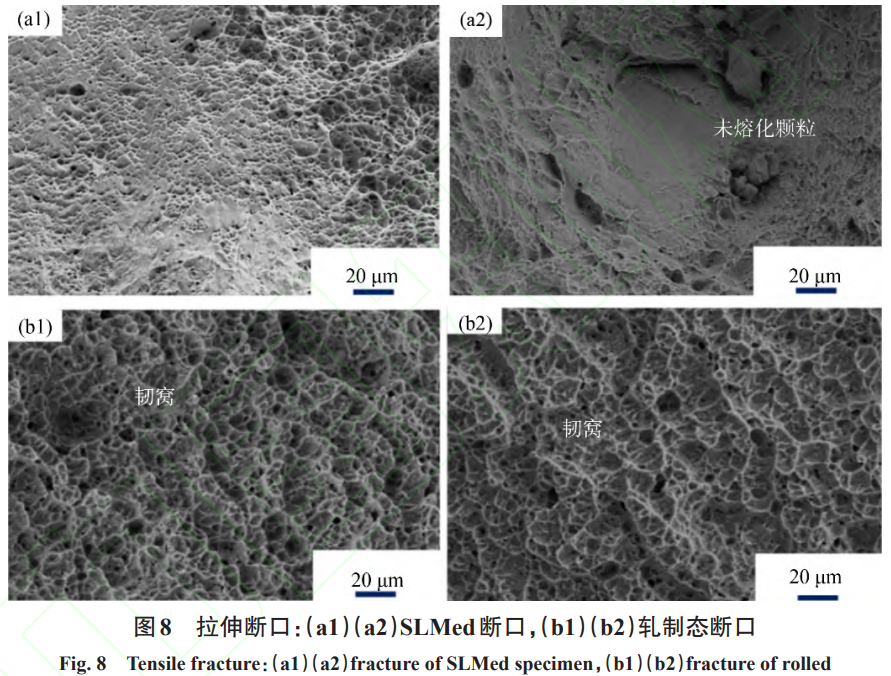 1738805533220780.png 截圖20250206092841.png